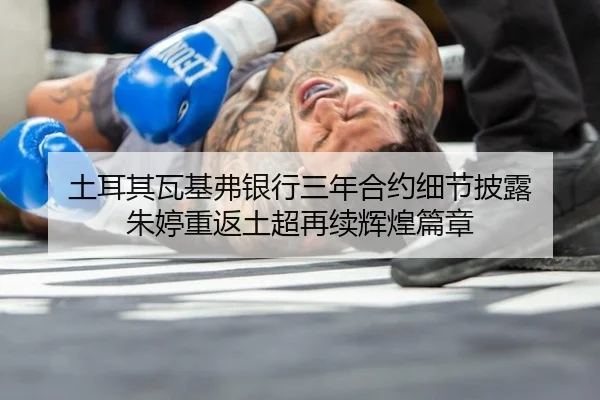 tu-er-qi-wa-ji-fu-yin-hang-san-nian-he-yue-xi-jie-pi-lu-zhu-ting-chong-fan-tu-chao-zai-xu-hui-huang-pian-zhang-3-259.jpg