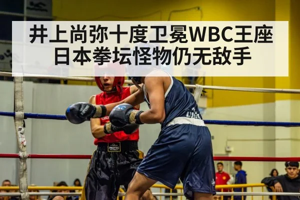 井上尚弥十度卫冕WBC王座 日本拳坛怪物仍无敌手