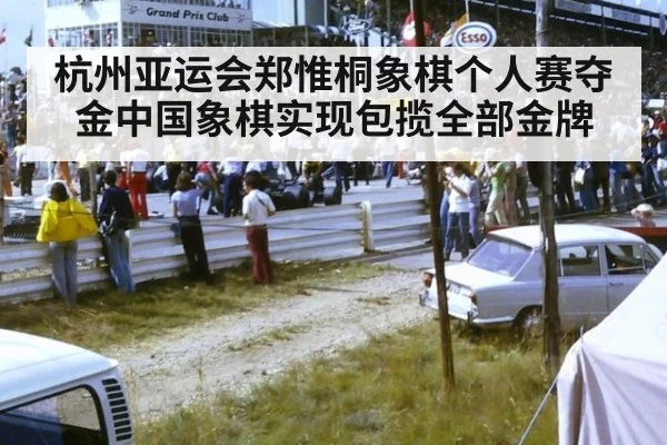 杭州亚运会郑惟桐象棋个人赛夺金中国象棋实现包揽全部金牌