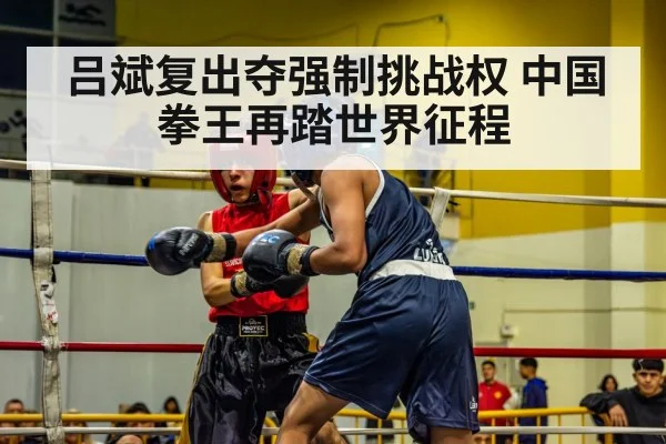 吕斌复出夺强制挑战权 中国拳王再踏世界征程